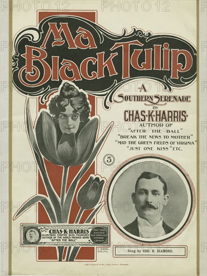 'Ma black tulip', 1900. Creator: Unknown.