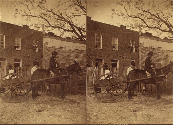 Mule cart, c1850-c1930. Creator: Unknown.