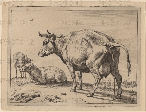 Pissing Cow, 1650. Creator: Paulus Potter.