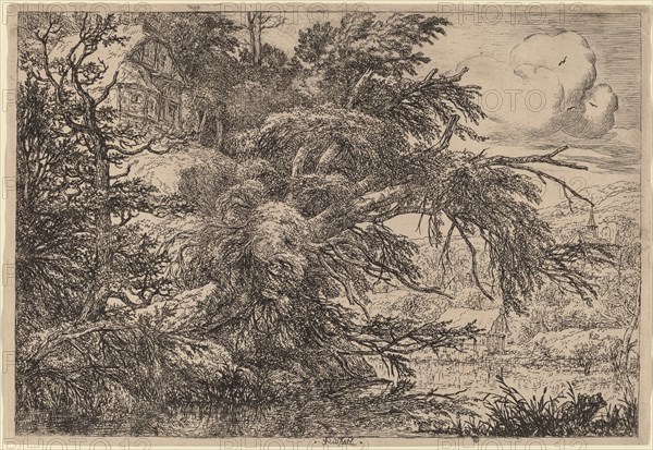 Cottage on a Hill. Creator: Jacob van Ruisdael.