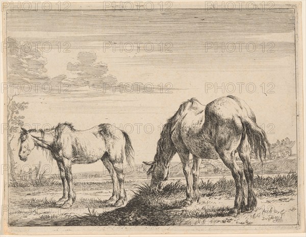 Two Grazing Horses, 1651. Creator: Dirck Stoop.