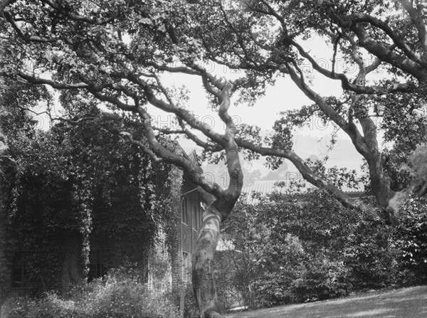 San Francisco views, 1927 Creator: Arnold Genthe.