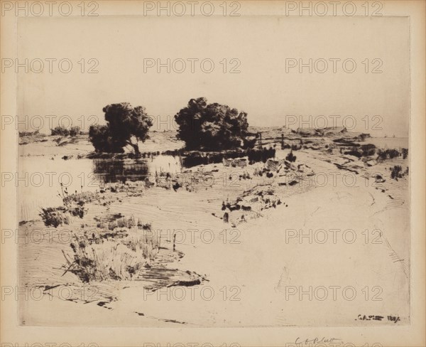 Cape Ann Willows, 1887. Creator: Charles A Platt.