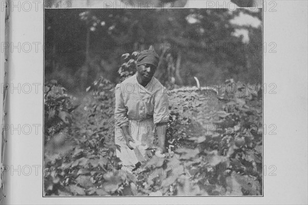 Two volumes of folk-lore, 1926. Creator: Unknown.