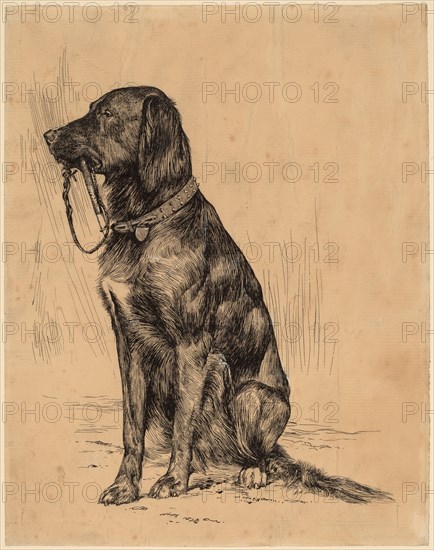 Aldrich's Dog, late 1880s. Creator: Arthur Davies.