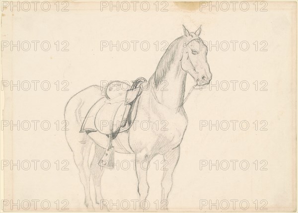 Horse, c. 1860s. Creator: Emanuel Gottlieb Leutze.