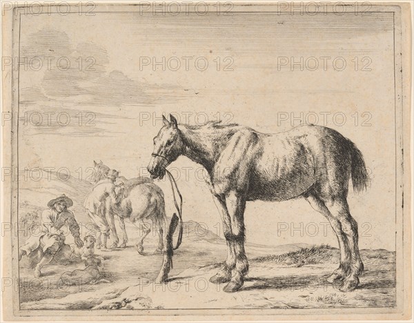 A Horse Bound to a Post, 1651. Creator: Dirck Stoop.