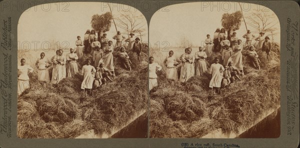 A rice raft, South Carolina, 1895. Creator: Unknown.