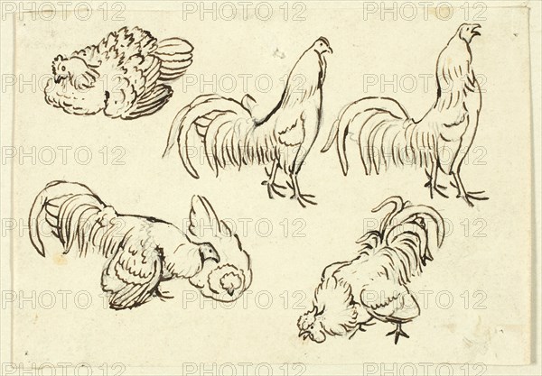 Sketches of Poultry, n.d. Creator: Henry Stacy Marks.