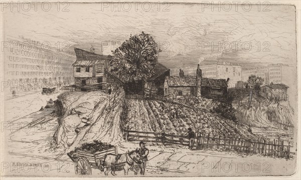A City Farm?New York, 1881. Creator: Mary Nimmo Moran.