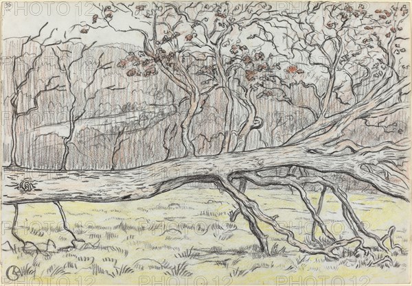 Felled Tree, Normandy, 1898. Creator: Georges Lacombe.