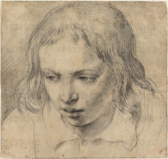 Head of a Young Man [recto], c. 1650. Creator: Unknown.