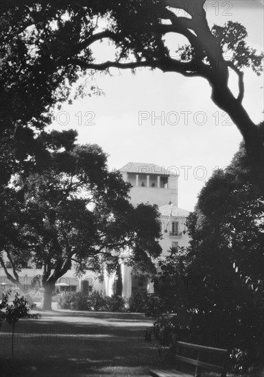 Del Monte, California views, 1927 Creator: Arnold Genthe.