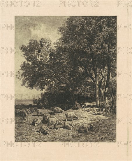 Landscape with Sheep, 1879. Creator: James David Smillie.