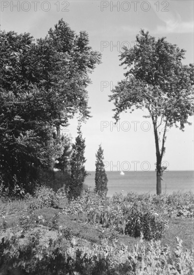 Cosgrave grounds, not before 1917. Creator: Arnold Genthe.