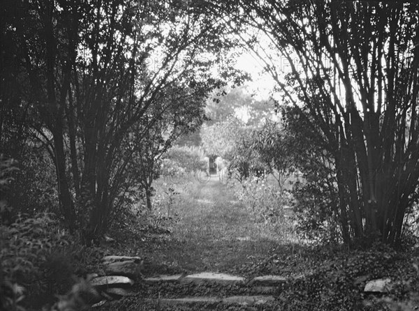 Cosgrave grounds, not before 1917. Creator: Arnold Genthe.