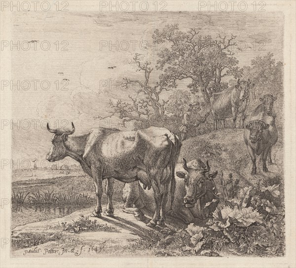 The Cowherd, 1643 (printed 1868?). Creator: Paulus Potter.