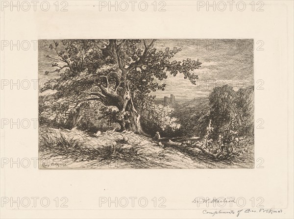 Landscape with Fallen Tree, 1875. Creator: Charles Volkmar.