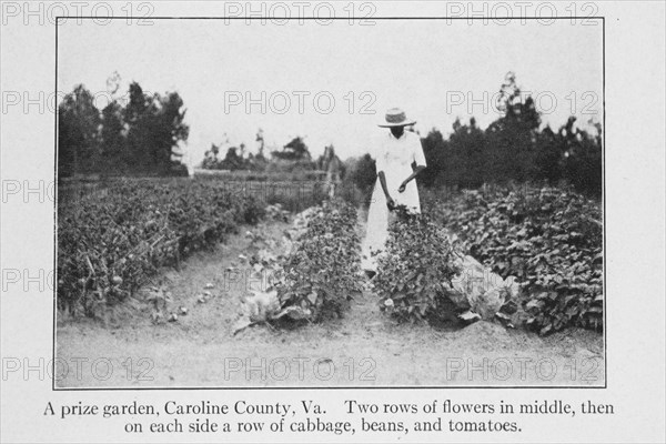 A prize garden, Caroline County, Va., 1915. Creator: Unknown.