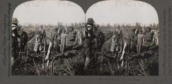 Plowing the field for cotton, (1868-1900?). Creator: Unknown.