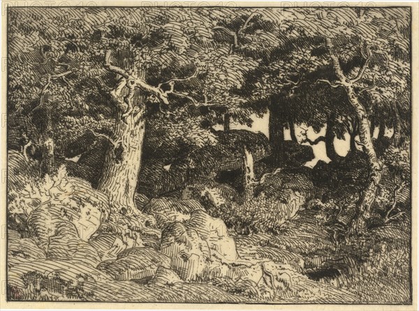 Chenes de Roche (Rock Oaks), 1861. Creator: Theodore Rousseau.