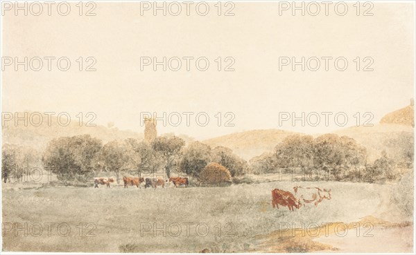 A Meadow with Cattle near Glastonbury. Creator: Peter de Wint.
