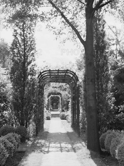 Edge, Charles N., garden, 1933 June 18. Creator: Arnold Genthe.