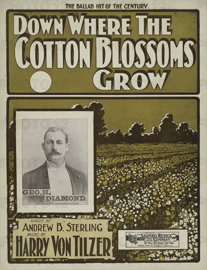 'Down where the cotton blossoms grow', 1901.  Creator: Unknown.