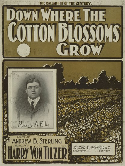 'Down where the cotton blossoms grow', 1901.  Creator: Unknown.