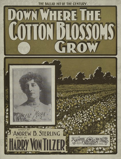 'Down where the cotton blossoms grow', 1901.  Creator: Unknown.