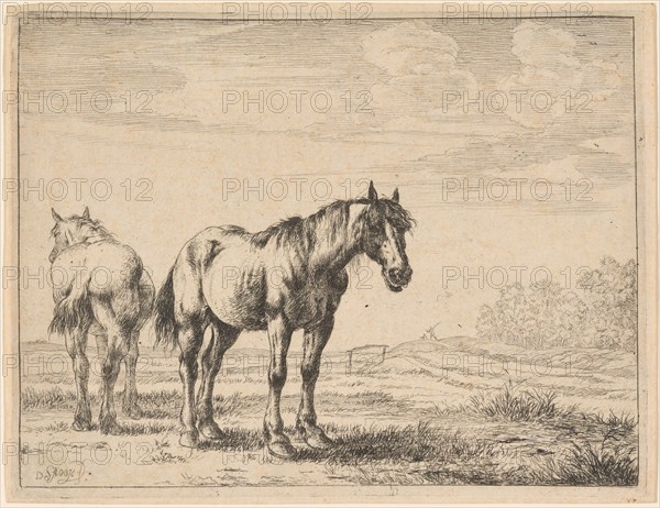 Two Plow Horses Standing in a Field, 1651. Creator: Dirck Stoop.