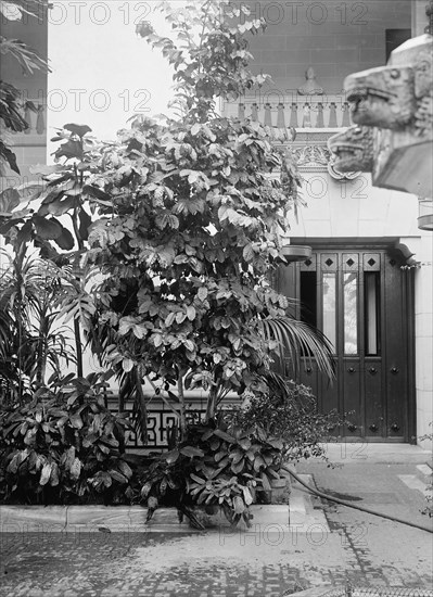 Pan American Union - Corner of Patio, 1916. Creator: Harris & Ewing.