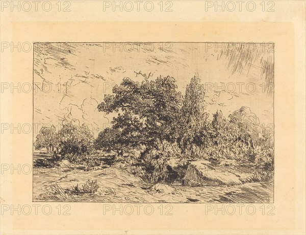 Vue du Plateau de Bellecroix, 1848-1849. Creator: Theodore Rousseau.