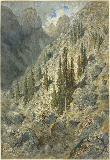 An Alpine Valley with Trees and Boulders, 1876. Creator: Gustave Doré.