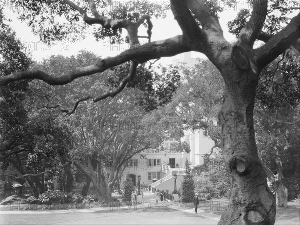 University of California at Berkeley views, 1927 Creator: Arnold Genthe.