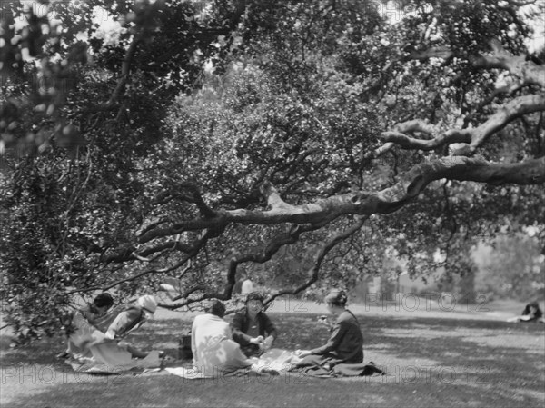 University of California at Berkeley views, 1927 Creator: Arnold Genthe.