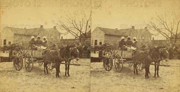 Three graces, [Three women in a mule cart], (1868-1900?). Creator: Unknown.