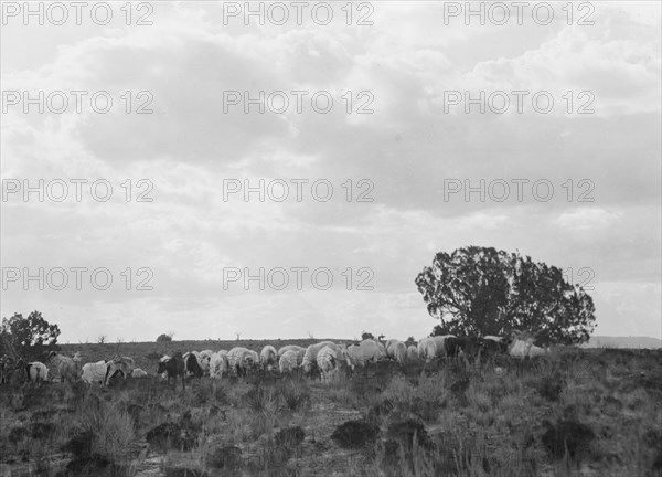 Acoma, New Mexico area views, between 1899 and 1928. Creator: Arnold Genthe.