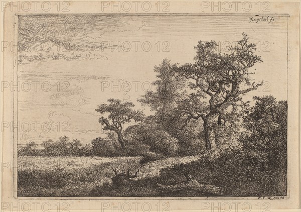 Grain Field at the Edge of a Wood (Corn Field). Creator: Jacob van Ruisdael.