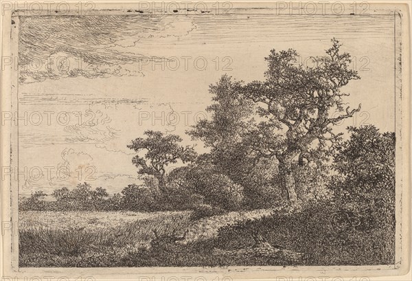 Grain Field at the Edge of a Wood (Corn Field). Creator: Jacob van Ruisdael.