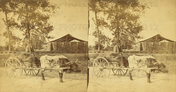 Going to market. [Man on an oxcart], (1868-1900?). Creator: O. Pierre Havens.