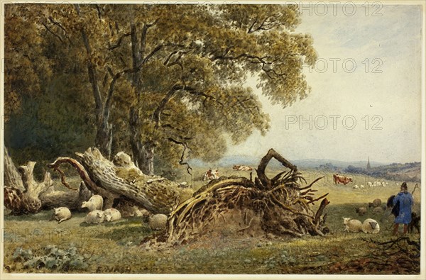 Sheep, Cows, and Herdsman by Uprooted Tree, 1802/1856. Creator: Frederick Nash.