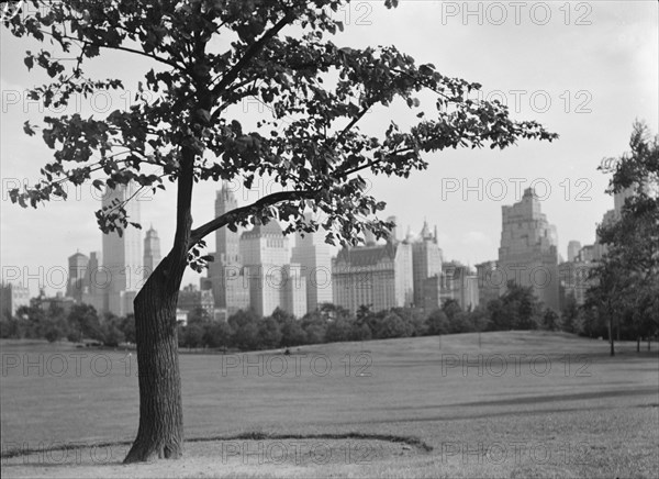 New York City views, Central Park, between 1931 and 1938. Creator: Arnold Genthe.