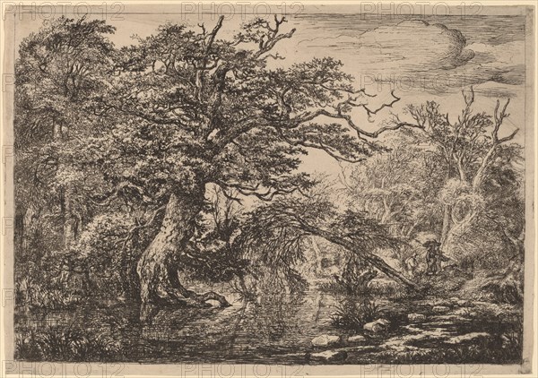 A Forest Marsh with Travelers on a Bank (The Travelers). Creator: Jacob van Ruisdael.