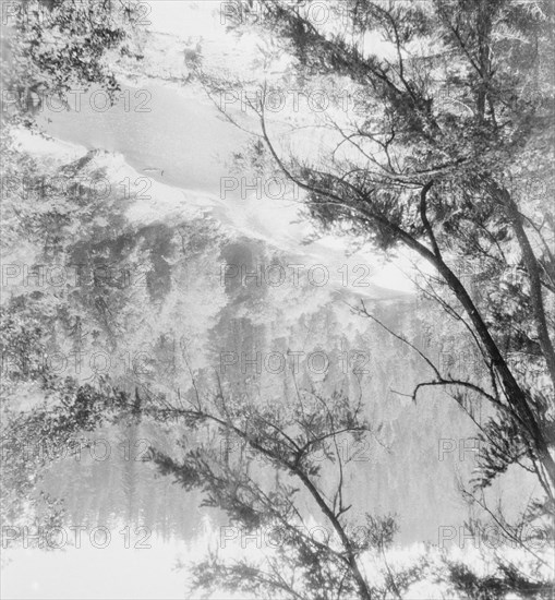 Landscape view of a wooded valley with a river, between 1911 and 1942. Creator: Arnold Genthe.