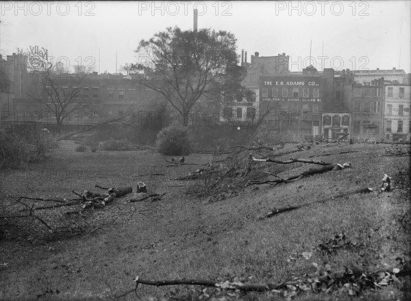 District of Columbia Parks - Cutting Trees On Mall Sites For War Buildings, 1917. Creator: Harris & Ewing.