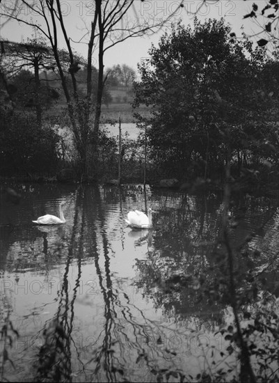 Taylor, Myron C., Mr., residence and grounds, Locust Valley, Long Island, New York, 1928 Nov. Creator: Arnold Genthe.