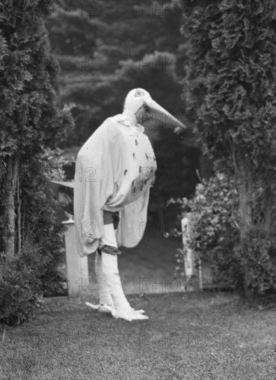 Scene from Sanctuary, A Bird Masque, by Percy MacKaye...Meriden Bird Club...New Hampshire, 1913. Creator: Arnold Genthe.