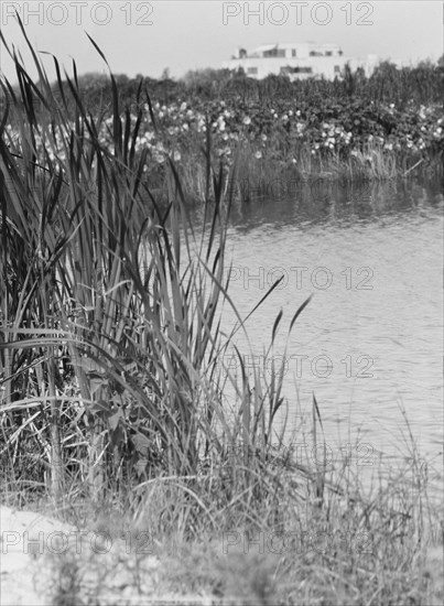 House and grounds of "The Shallows," property of Lucien Hamilton Tyng, Southampton, Long Island, 193 Creator: Arnold Genthe.