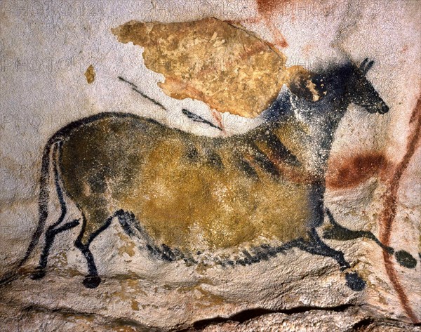 Chinese horse. Caves painting of Lascaux, ca 16.000-15.000 BC. Creator: Art of the Upper Paleolithic.